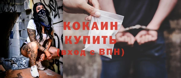 дмт Лабытнанги