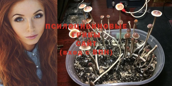 прущая мука Абдулино