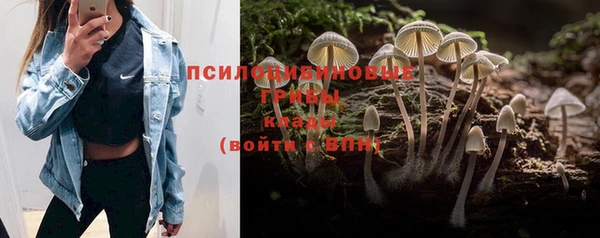 прущая мука Абдулино