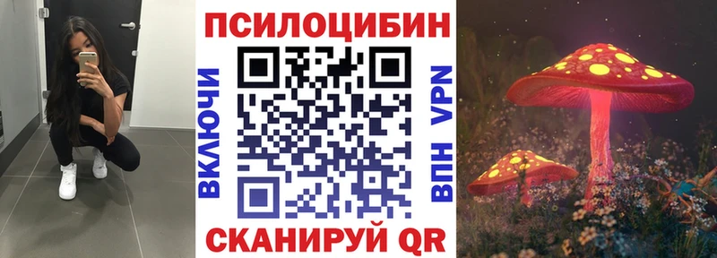 Галлюциногенные грибы Psilocybine cubensis  Горячеводский 